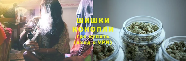 гидра Вязники
