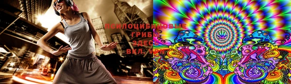 амф Вязьма