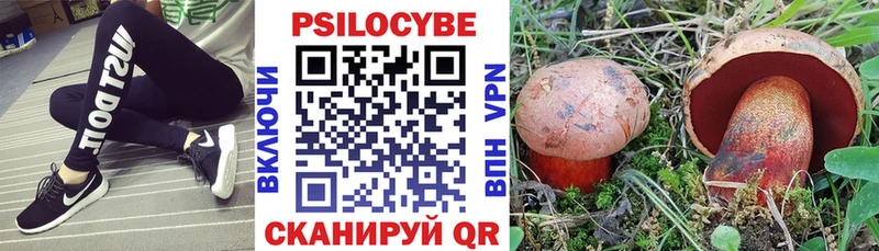 Купить  Котельниково  Галлюциногенные грибы Magic Shrooms 